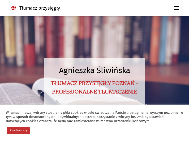 TŁUMACZ JĘZYKA ANGIELSKIEGO AGNIESZKA ŚLIWIŃSKA